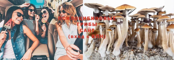 амф Белокуриха