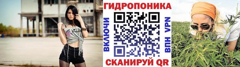 Бошки марихуана THC 21%  Шацк 